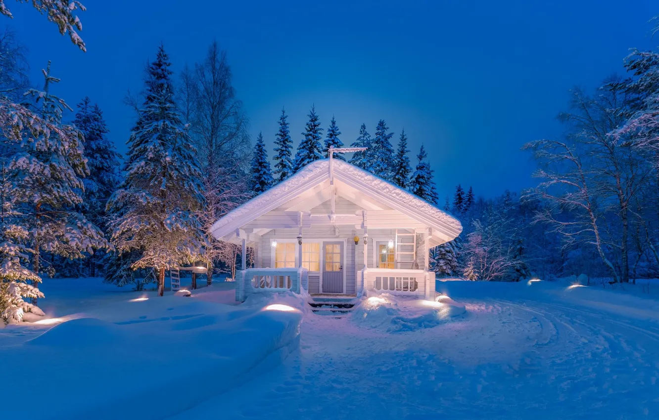 Фото обои зима, лес, белый, снег, ночь, огни, дом, forest