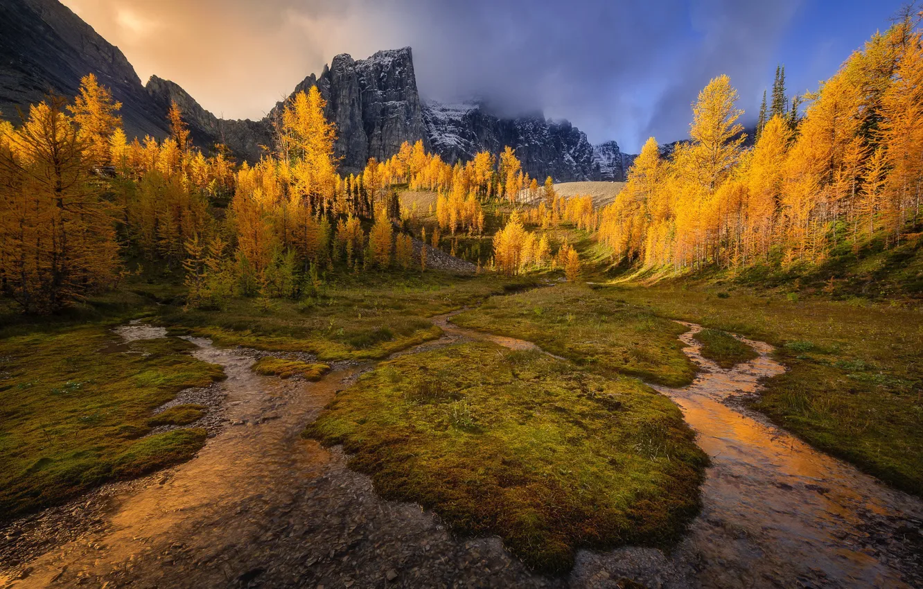 Фото обои Alberta, Canada, British Columbia, autumn, Fall Color