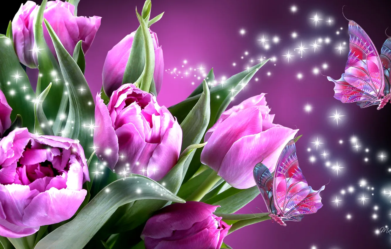 Фото обои цветы, коллаж, бабочка, крылья, тюльпаны, мотылек