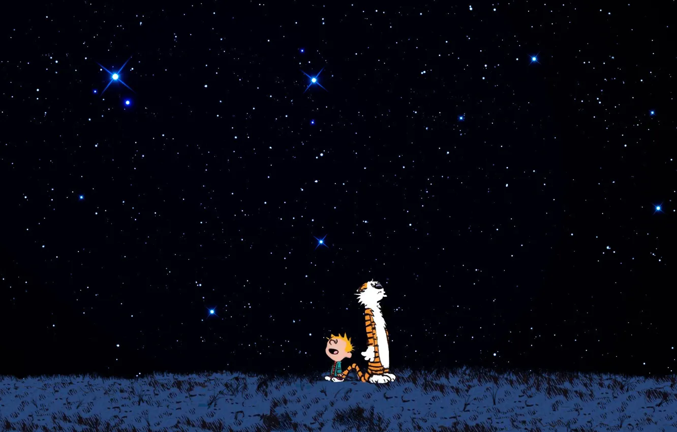 Фото обои звезды, ночь, тигр, мальчик, тигра, восторг, кельвин и хоббс