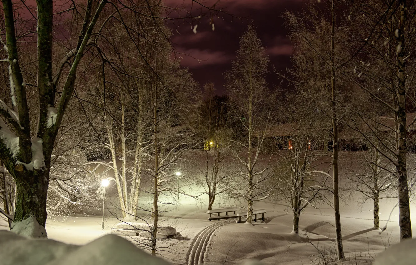 Фото обои зима, свет, снег, деревья, ночь, огни, парк, лыжня