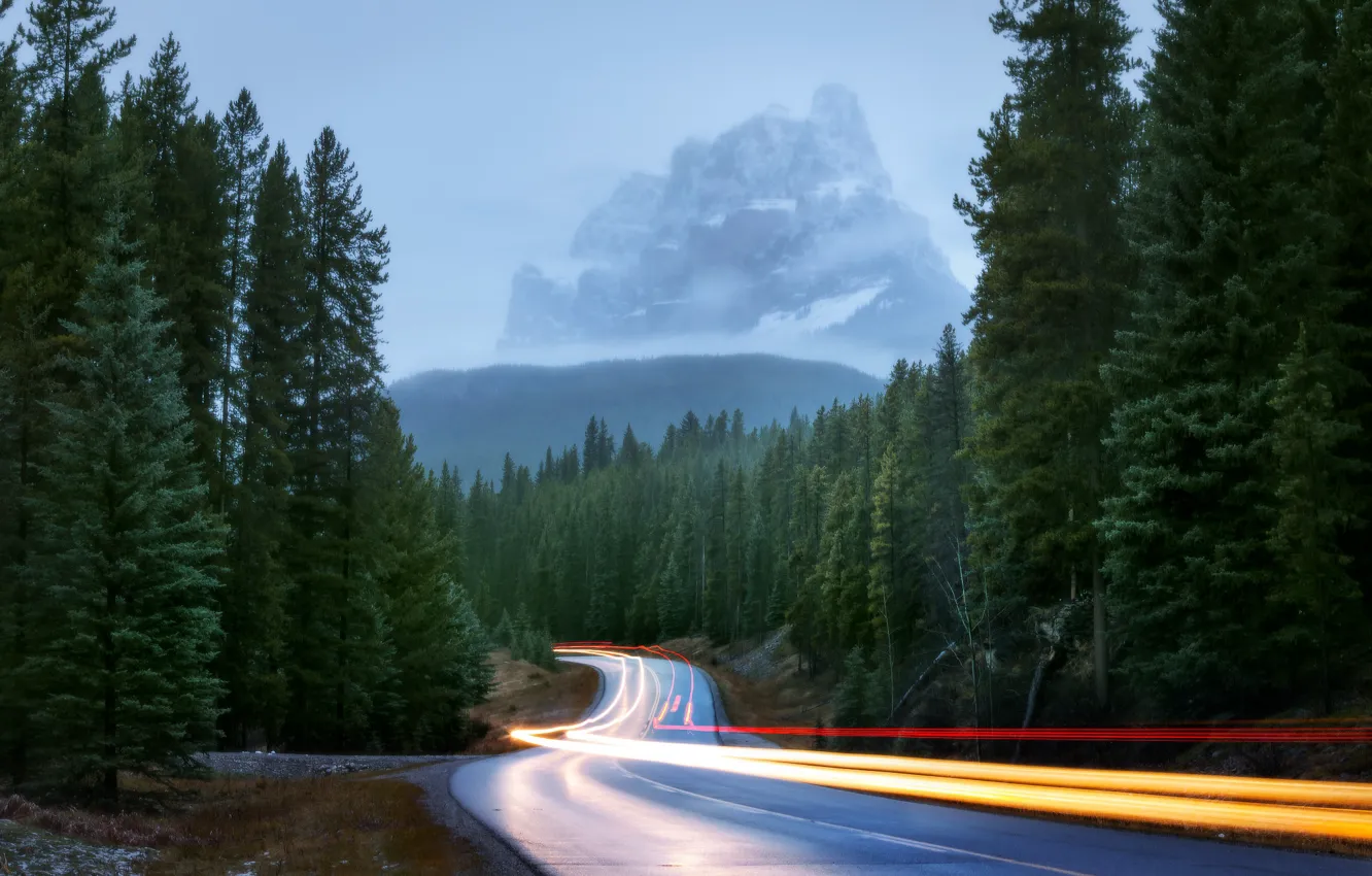 Фото обои дорога, лес, свет, горы, природа, огни, туман, выдержка