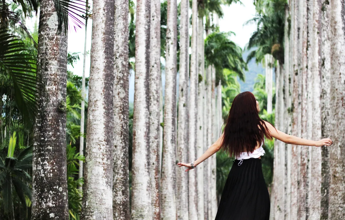 Фото обои девушка, пальмы, волосы, аллея