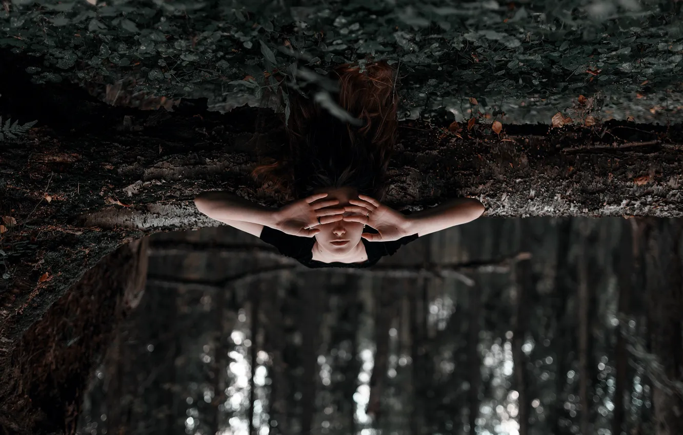Фото обои лес, девушка, лежит, Ульяна Найденкова, Ксения Чапкаева