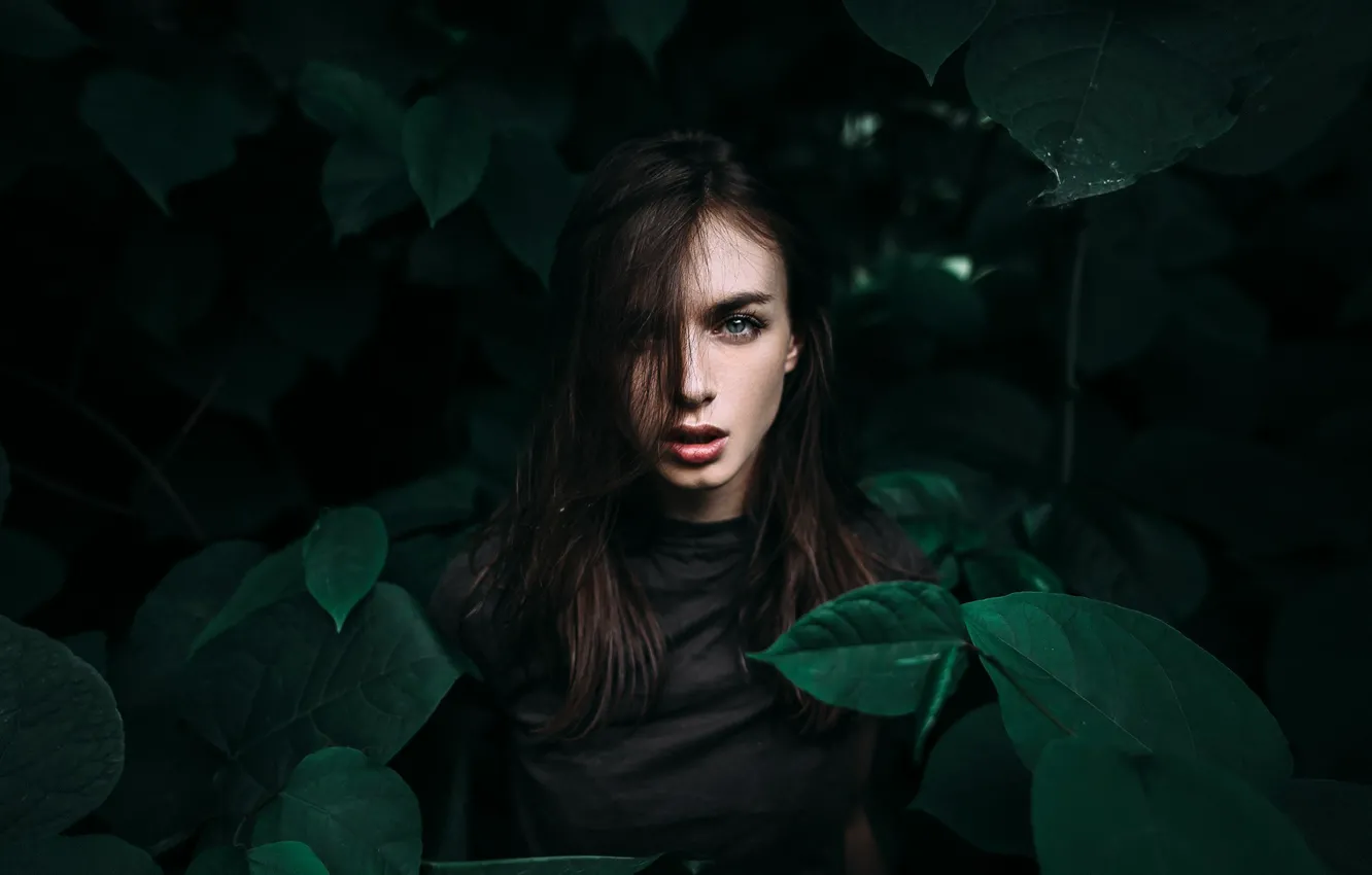 Фото обои взгляд, листья, девушка, green, портрет, брюнетка, прическа, тени