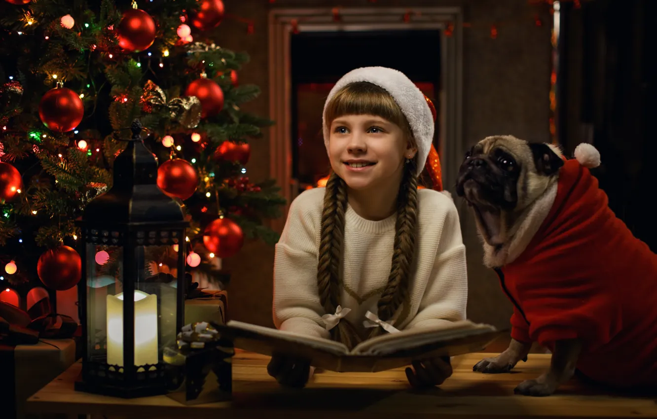 Фото обои улыбка, настроение, собака, Рождество, девочка, фонарь, мопс, Новый год