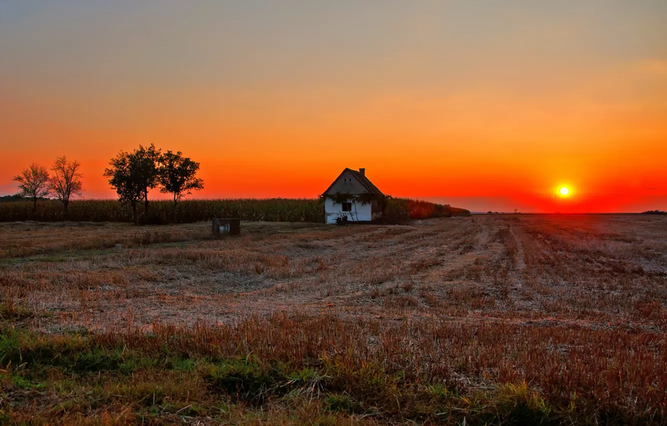Фото обои house, fireball, twilight, field, sunset, sun, dusk, countryside