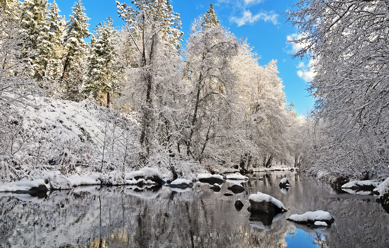 Фото обои зима, лес, небо, снег, деревья, озеро, камни, ель