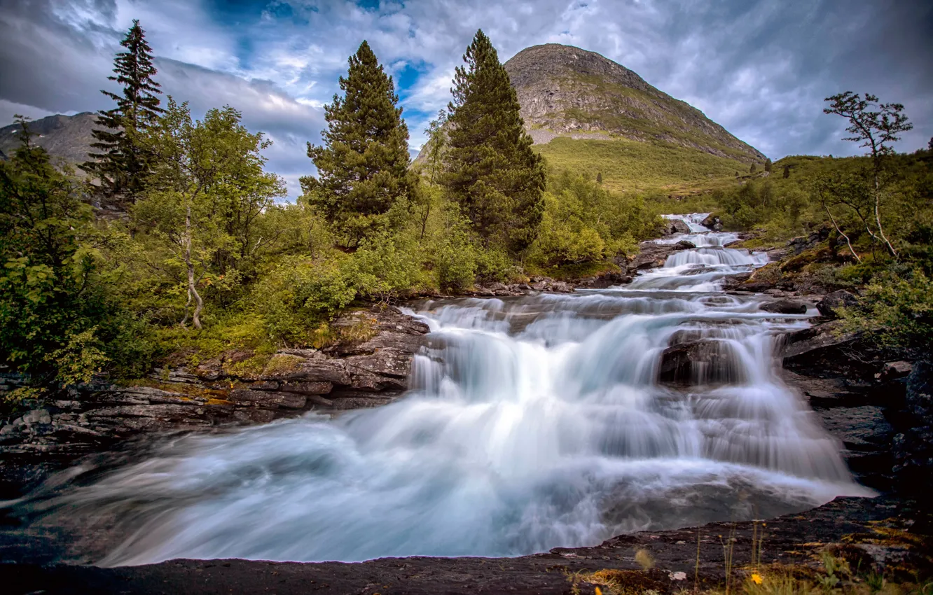Фото обои деревья, гора, Норвегия, речка, каскад, Norway, Romsdal, Valldalfoss
