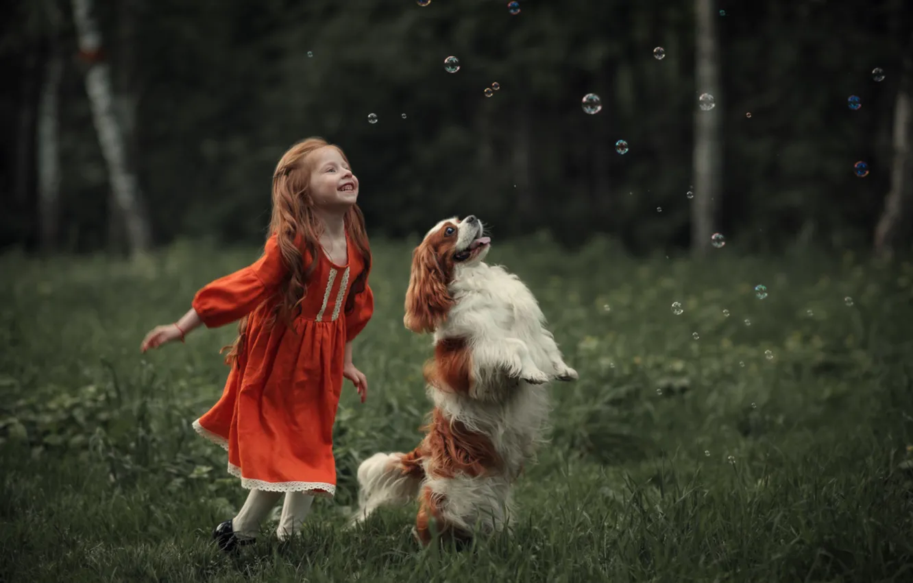 Фото обои пузыри, собака, девочка, рыжая, спаниель