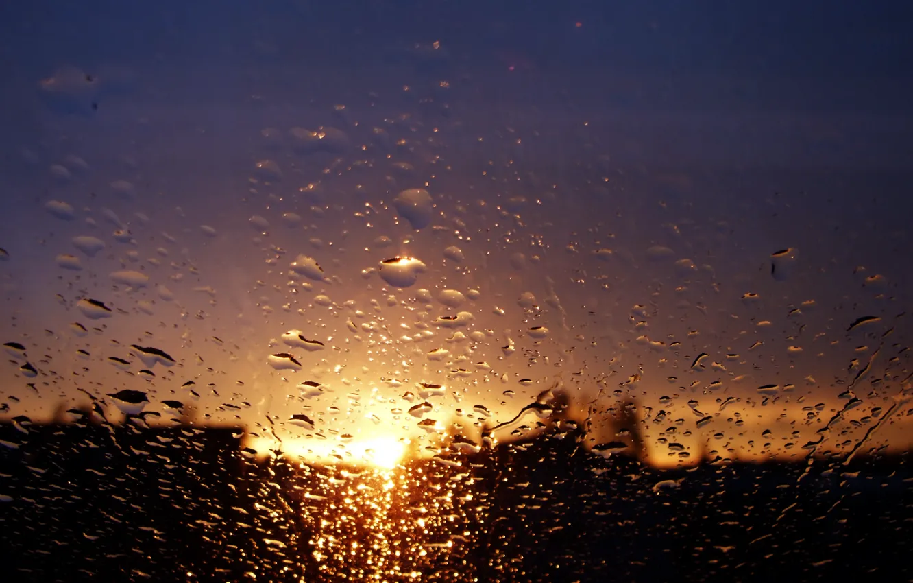Фото обои осень, город, дождь, окно