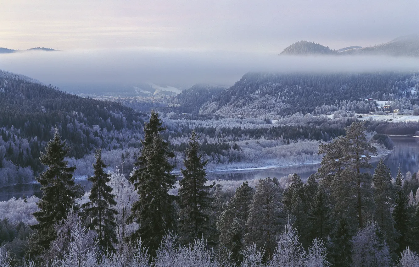 Фото обои зима, лес, деревья, горы, Швеция, Sweden, Lien, Jämtland