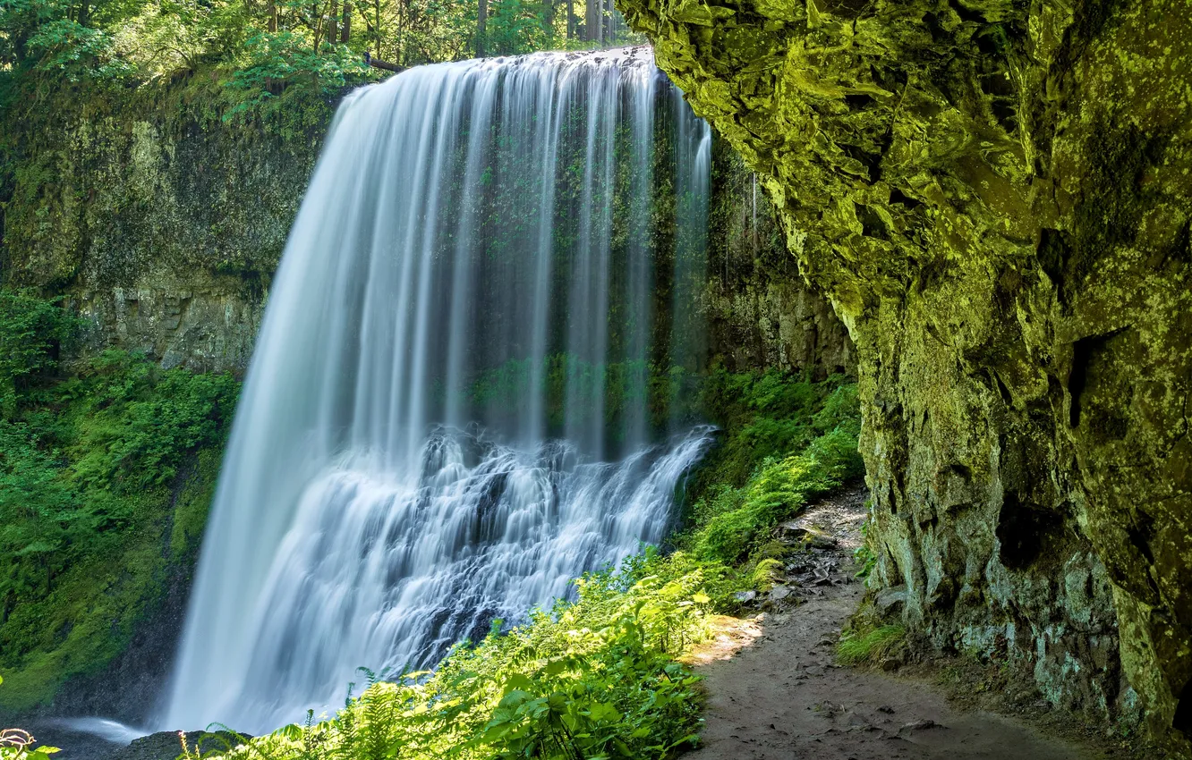 Фото обои waterfall, wilderness, oregon, nature photography, pacific northwest