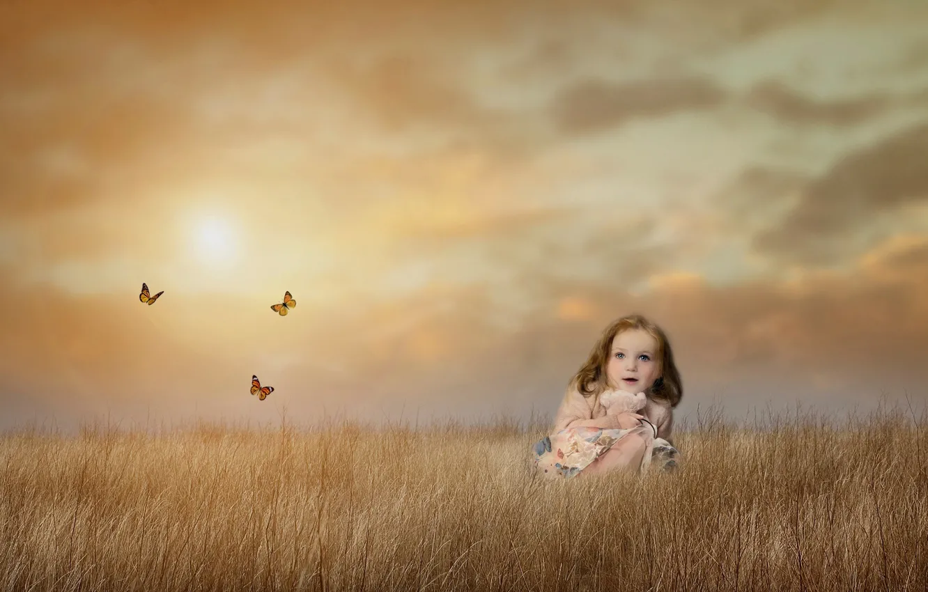 Фото обои поле, небо, бабочки, настроение, луг, девочка