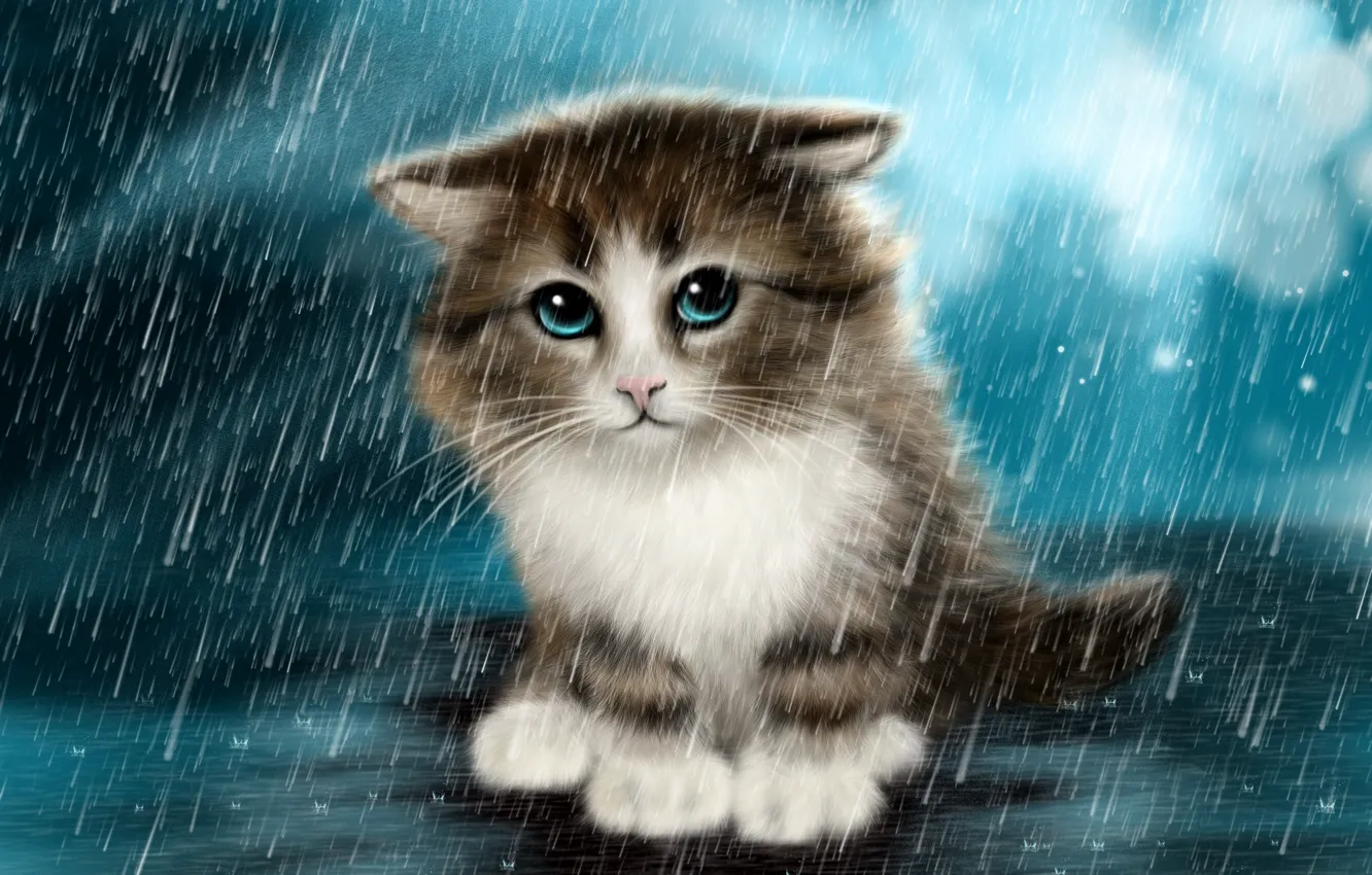 Фото обои грусть, котенок, дождь