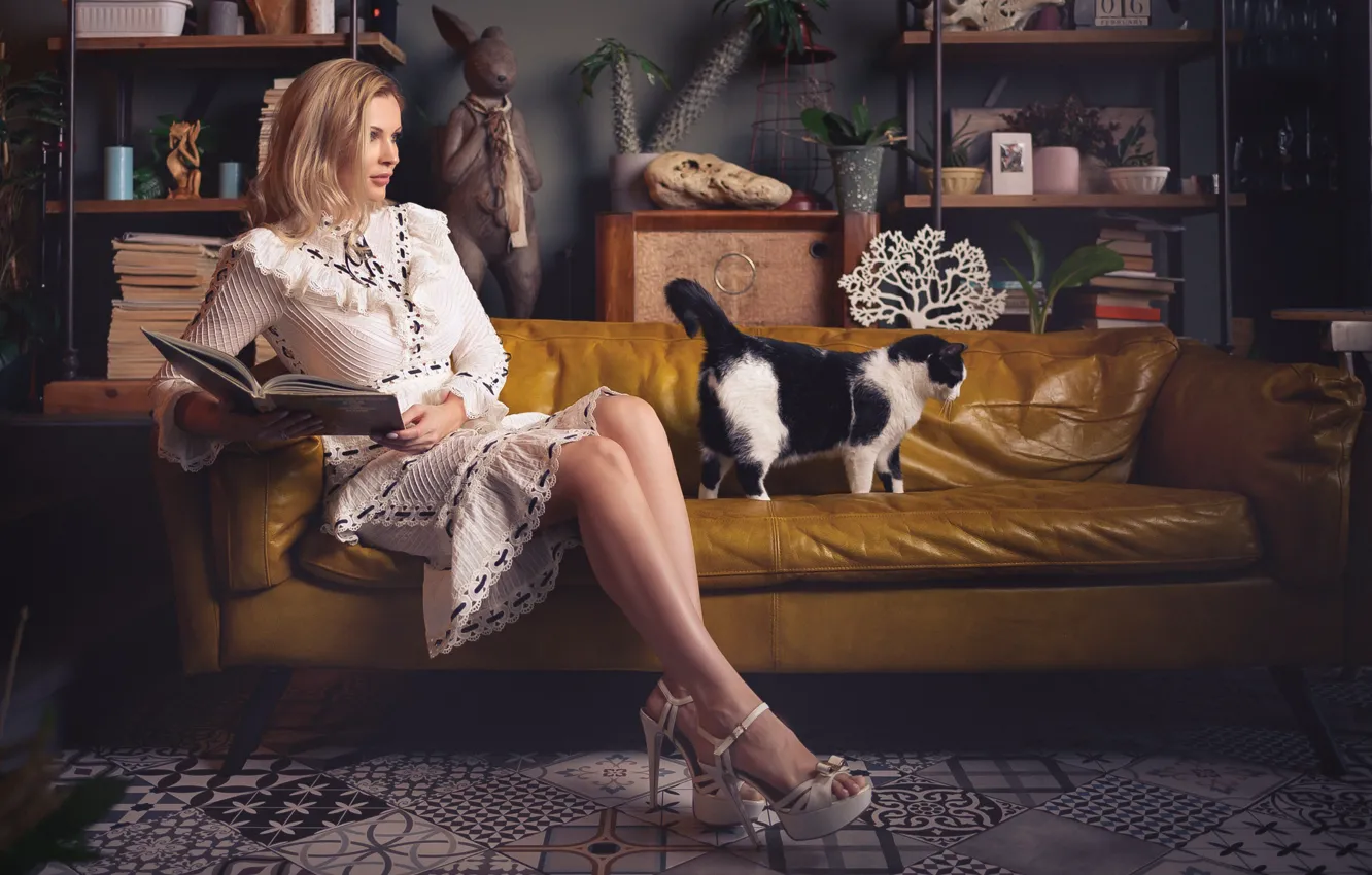 Фото обои кошка, девушка, поза, диван, платье, книга, ножки, Сергей Гокк