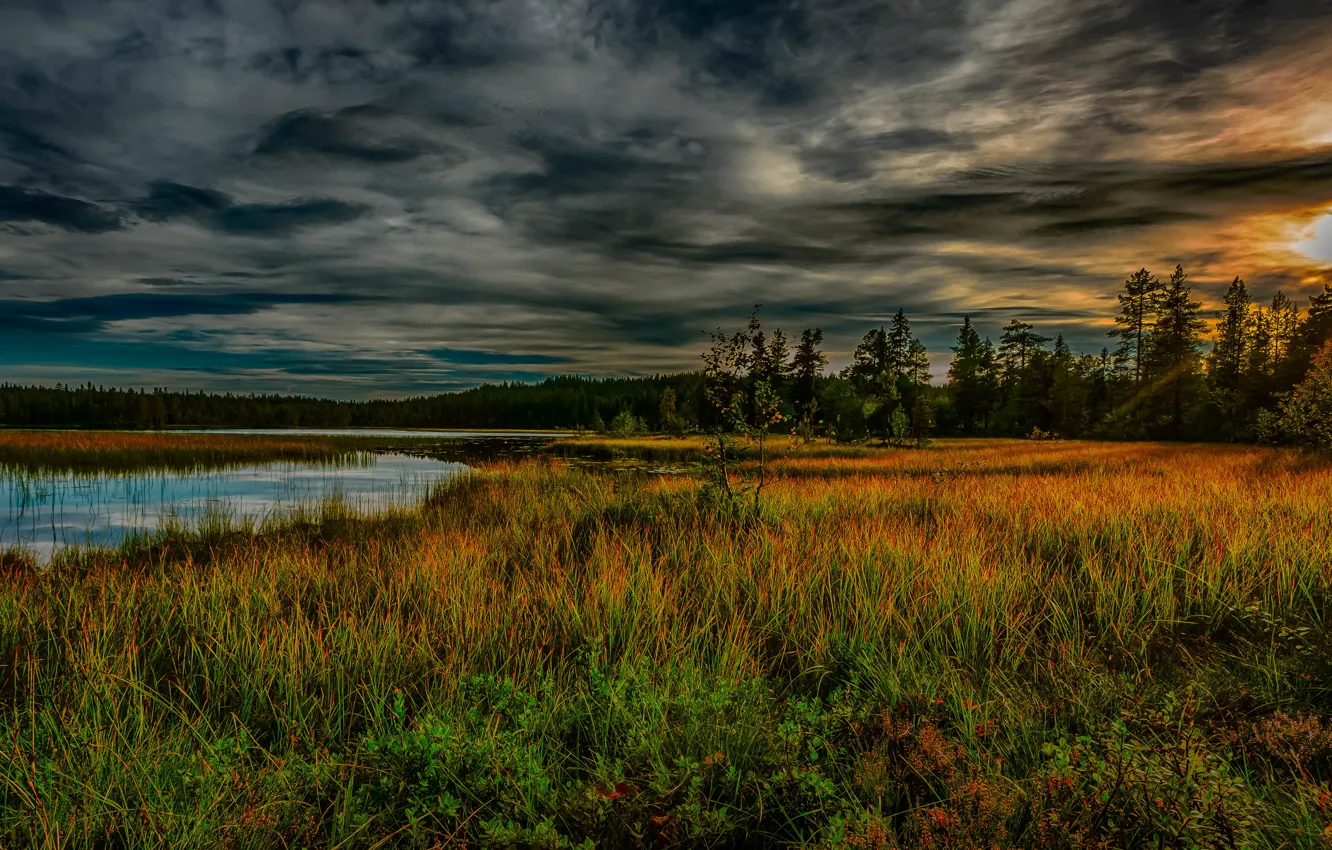 Фото обои небо, трава, облака, деревья, закат, озеро, HDR