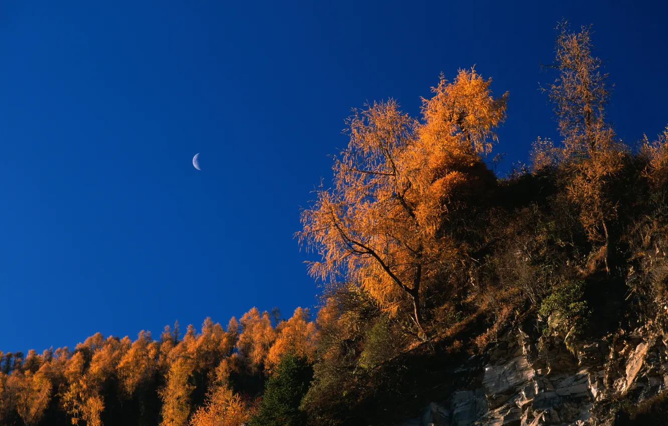Фото обои осень, скалы, autumn