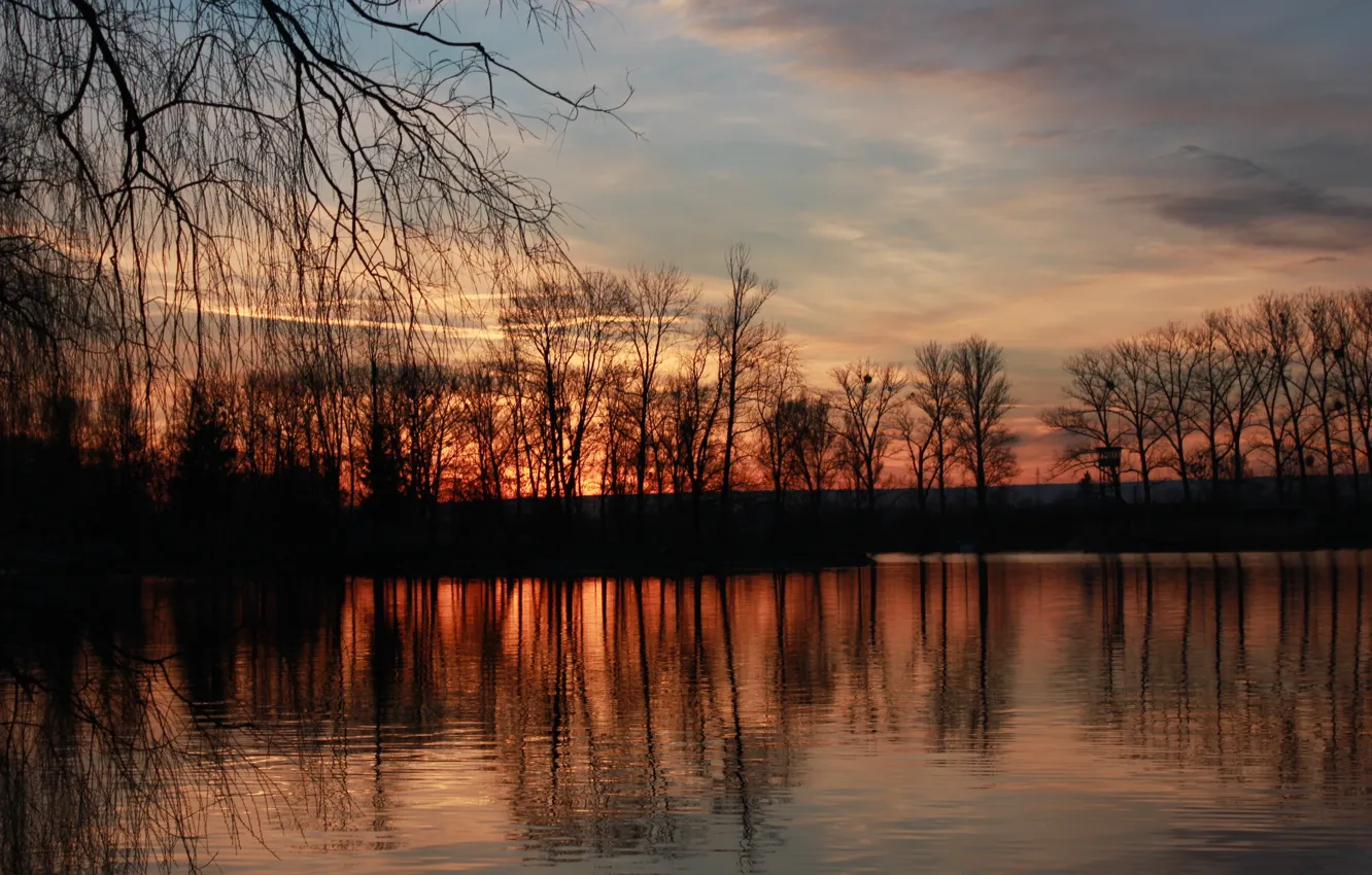 Фото обои закат, озеро, дерева, івано-франківськ
