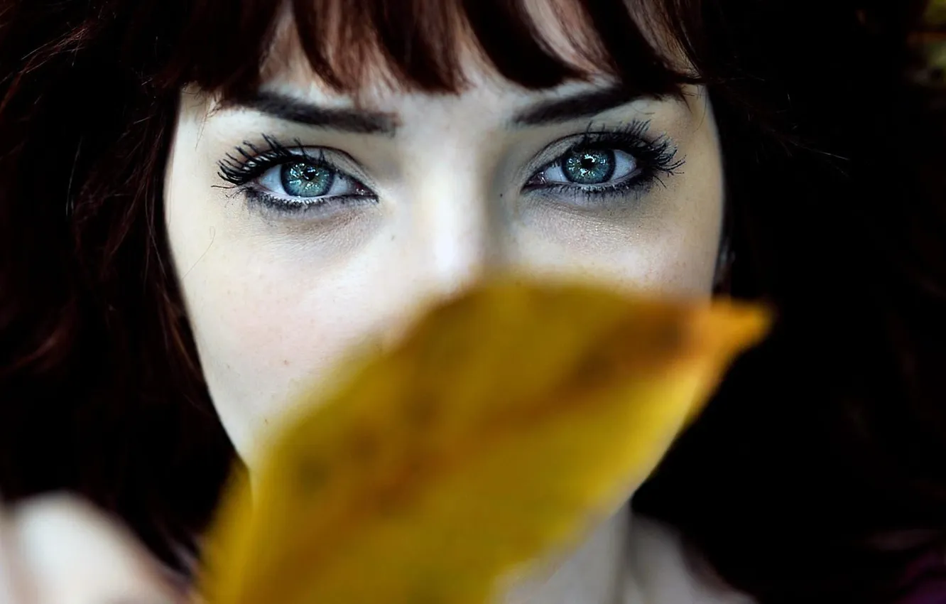 Фото обои глаза, взгляд, девушка, фото, листок, Susan Coffey, Сьюзан Коффи