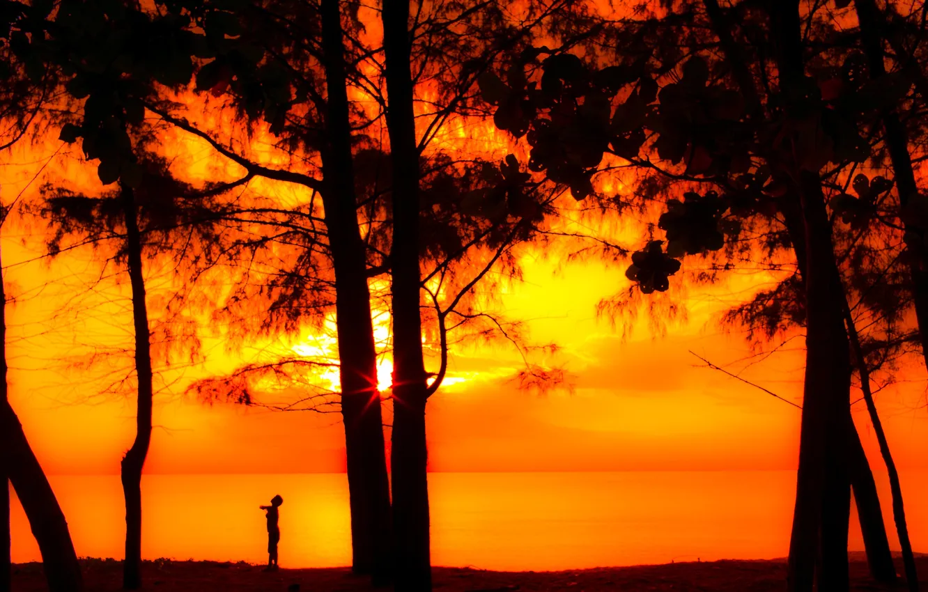 Фото обои солнце, лучи, деревья, закат, берег, вечер, мальчик, силуэт