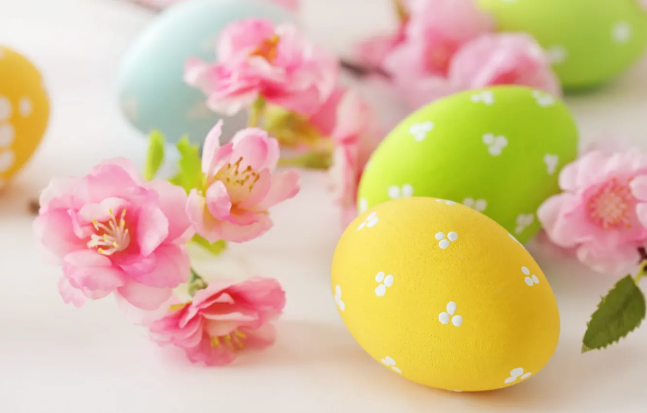 Фото обои цветы, яйца, пасха, flowers, Easter, eggs, delicate