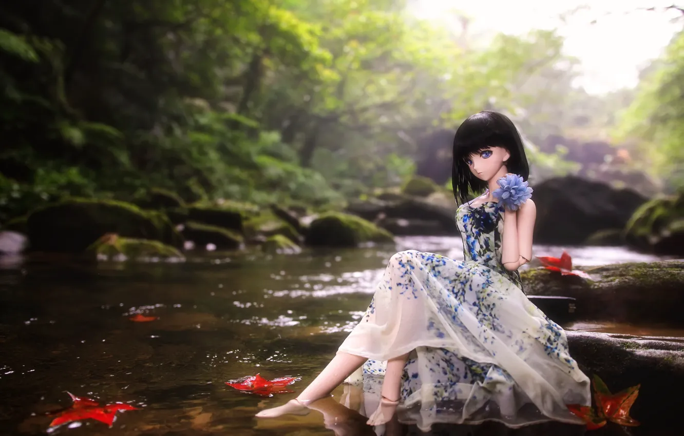 Фото обои вода, река, игрушка, кукла, платье
