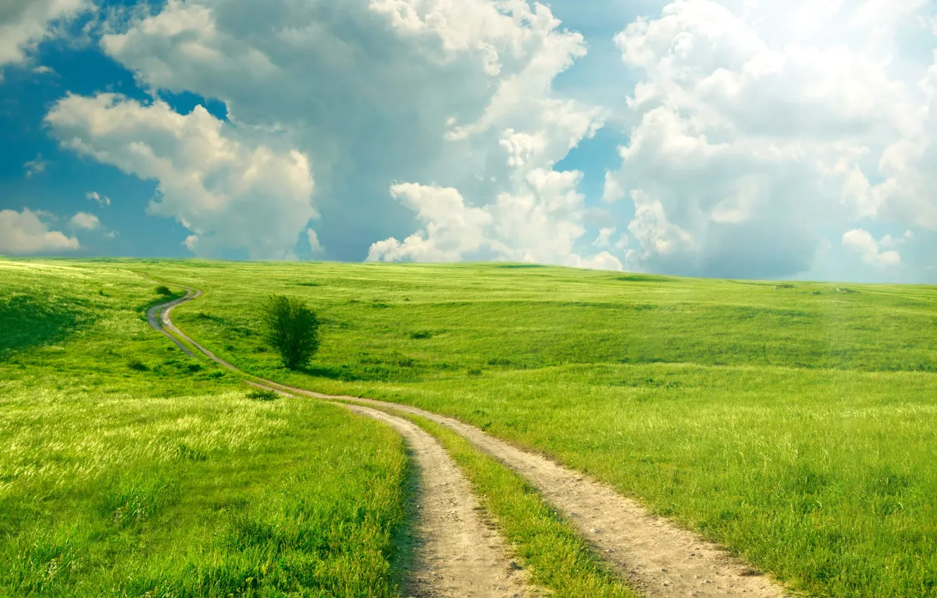 Фото обои дорога, зелень, поле, лето, небо, трава, облака