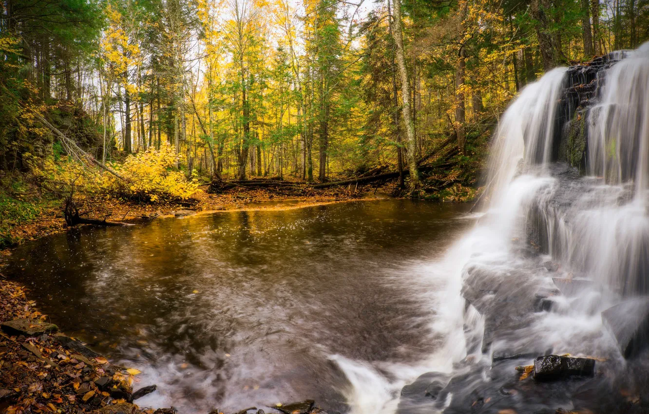 Фото обои осень, лес, деревья, берег, водопад, поток, водоем