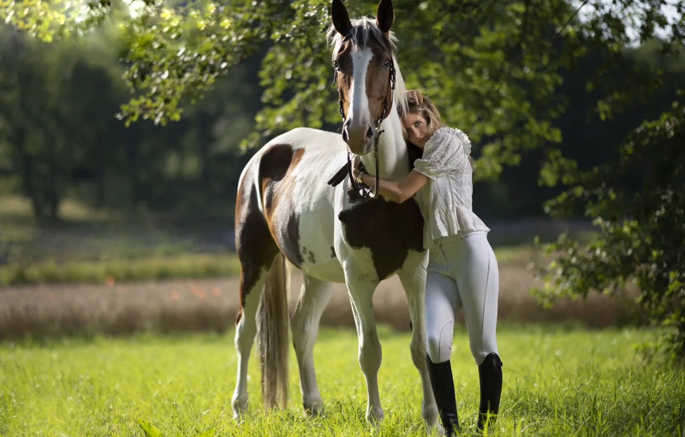Фото обои лето, девушка, конь