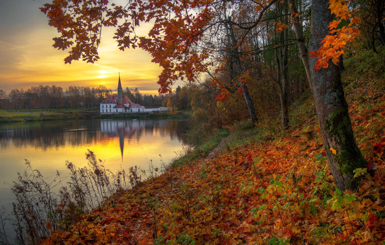 ed-gordeev-reka-vecher-listva-derevia-os