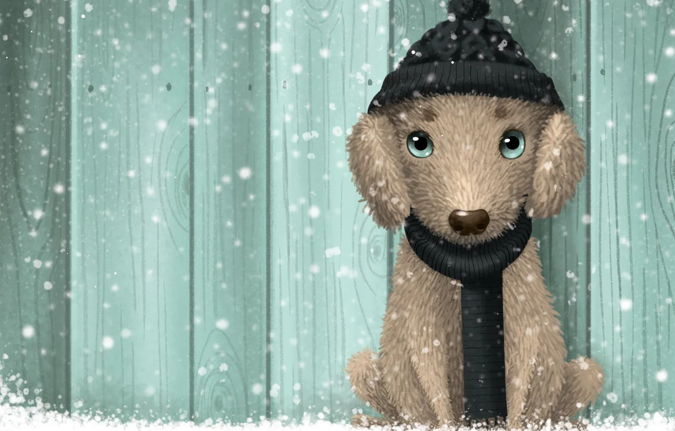 Фото обои зима, снег, собака, изумруд