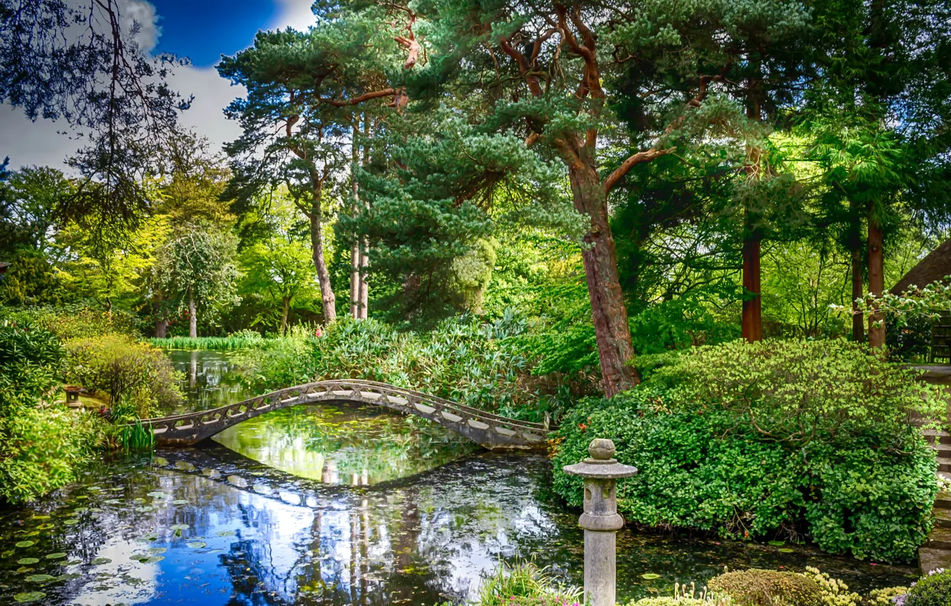 Фото обои зелень, деревья, пруд, парк, Англия, мостик, кусты, Tatton Hall