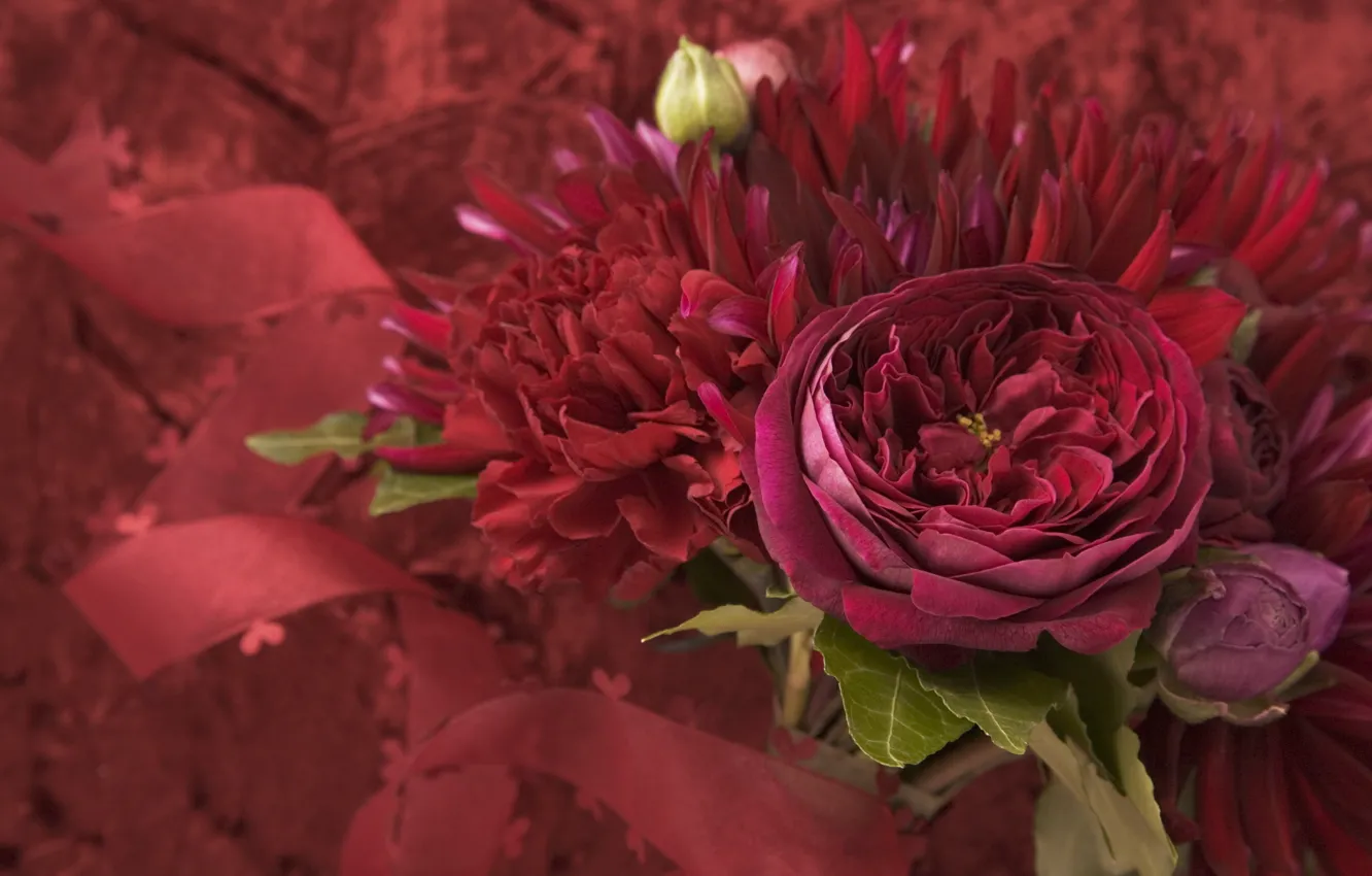 Фото обои фиолетовый, листья, макро, цветы, букет, лепестки, flowers, бордовый