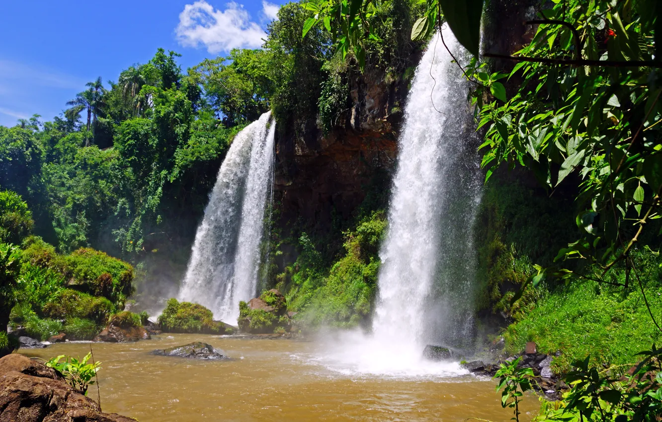 Фото обои вода, камни, водопад, nature, Argentina, Аргентина, Игуасу, деревья.
