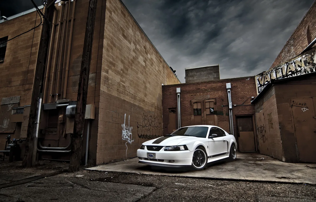 Фото обои машина, mustang, ford