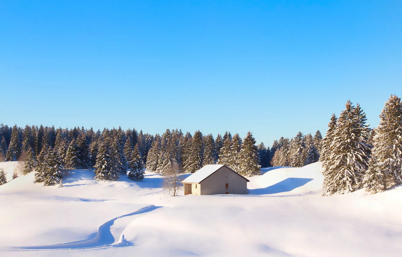 Фото обои зима, лес, небо, снег, природа, Франция, домик, Юра