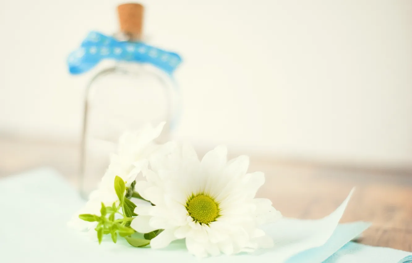 Фото обои белый, цветок, стол, бутылка, лепестки, размытость, ромашка