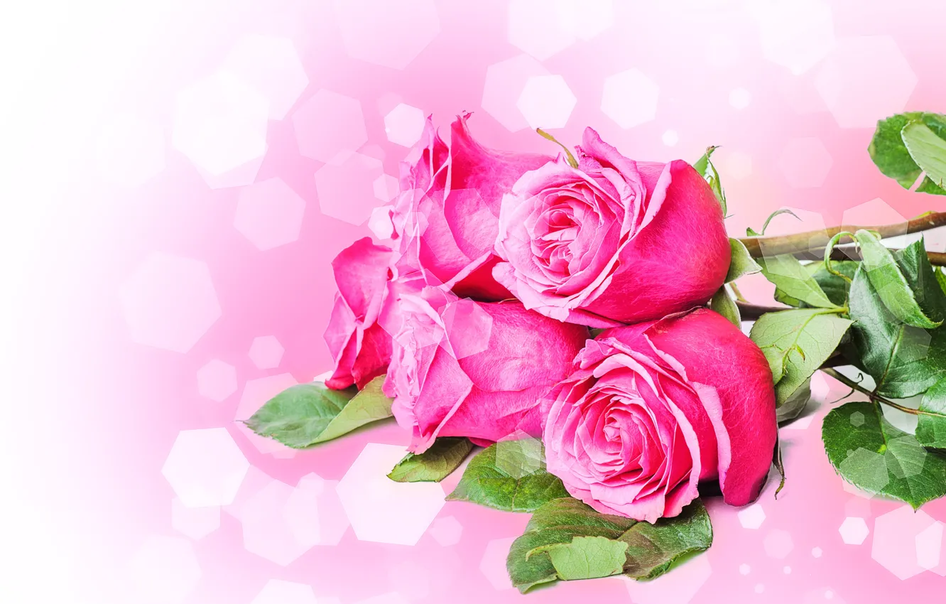 Фото обои цветы, стебли, розы, букет, лепестки, розовые