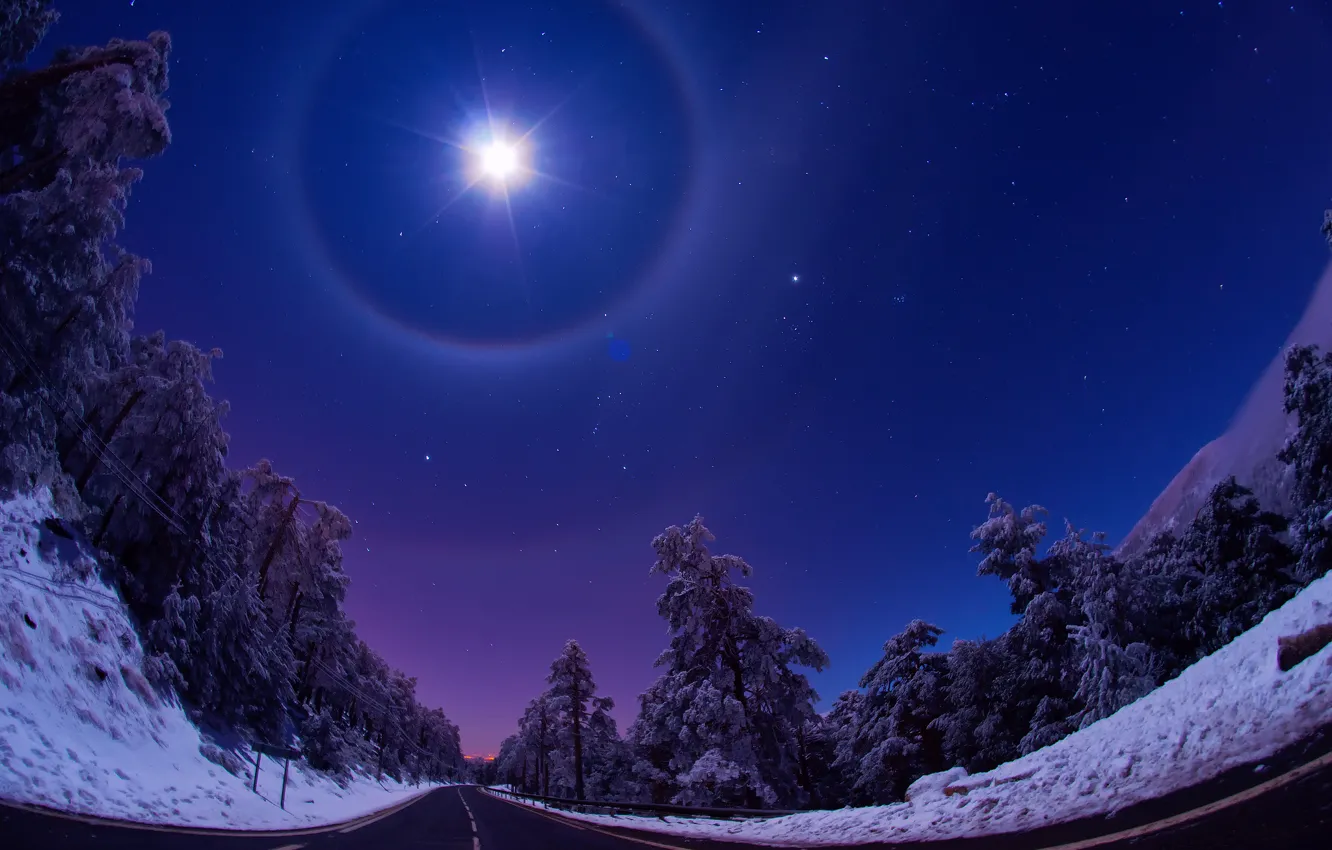 Фото обои дорога, лес, небо, звезды, свет, снег, ночь, луна