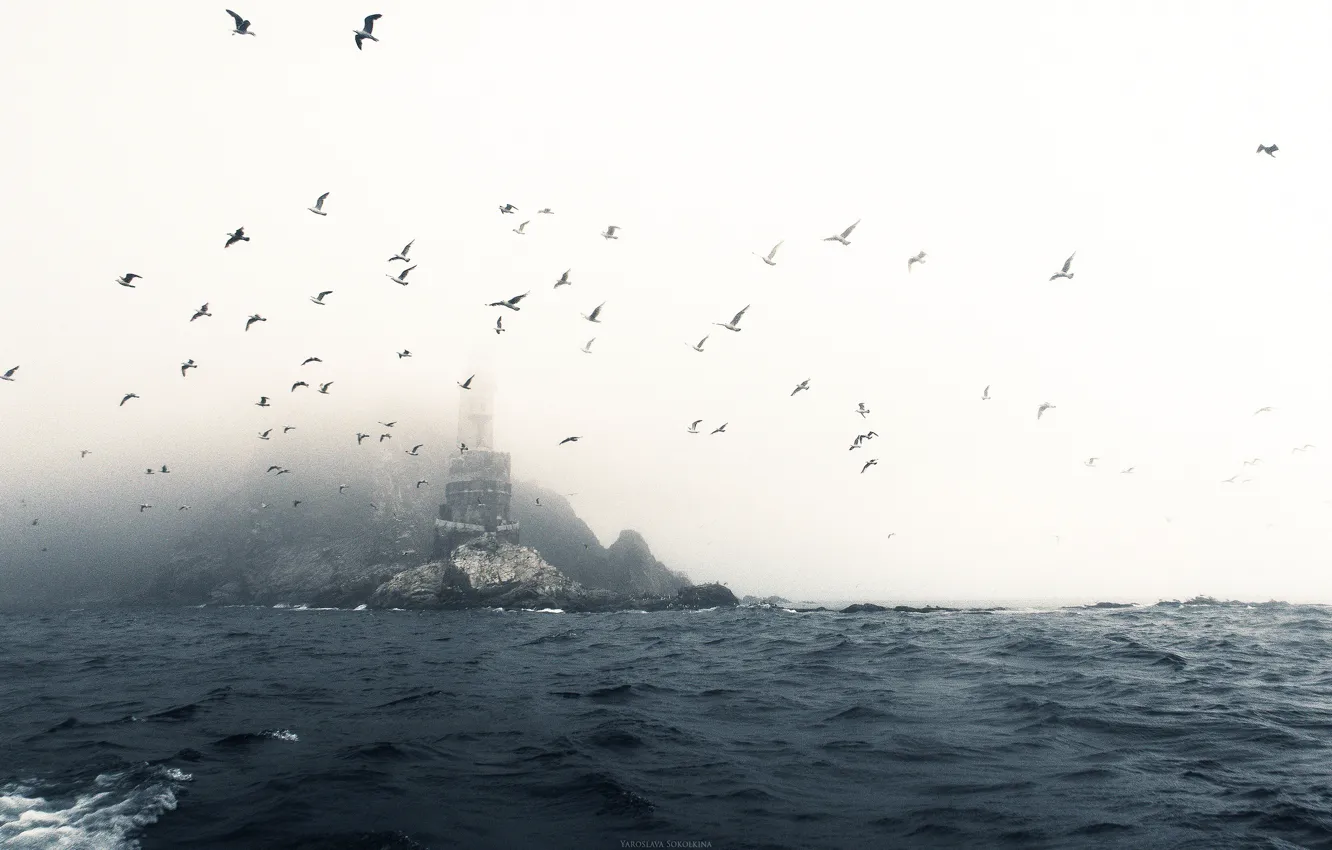 Фото обои Туман, Маяк, Чайки, Russia, Lighthouse, Fog, Заброшенный, Abandoned