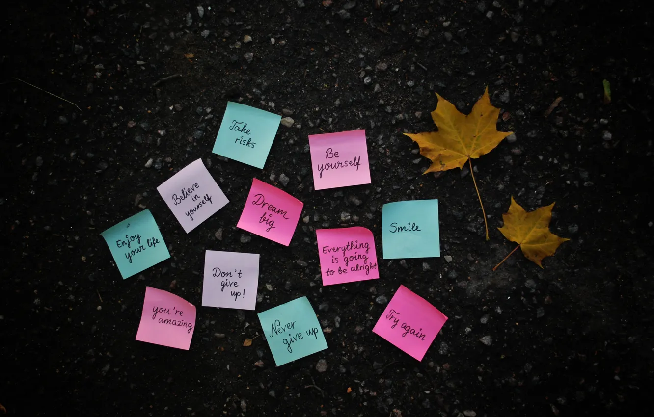 Фото обои осень, листья, поверхность, бумага, надписи, земля, желтые, фраза