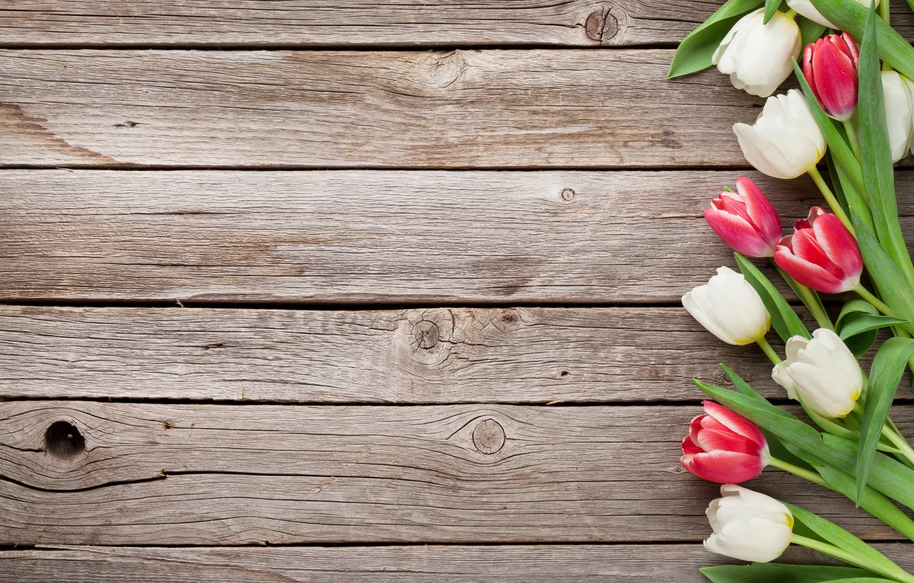 Фото обои цветы, букет, тюльпаны, red, white, wood, flowers, tulips