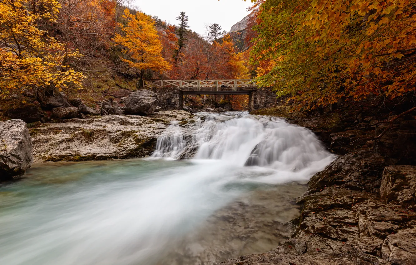 Фото обои осень, деревья, мост, река, Испания, каскад, Spain, Ordesa y Monte Perdido National Park