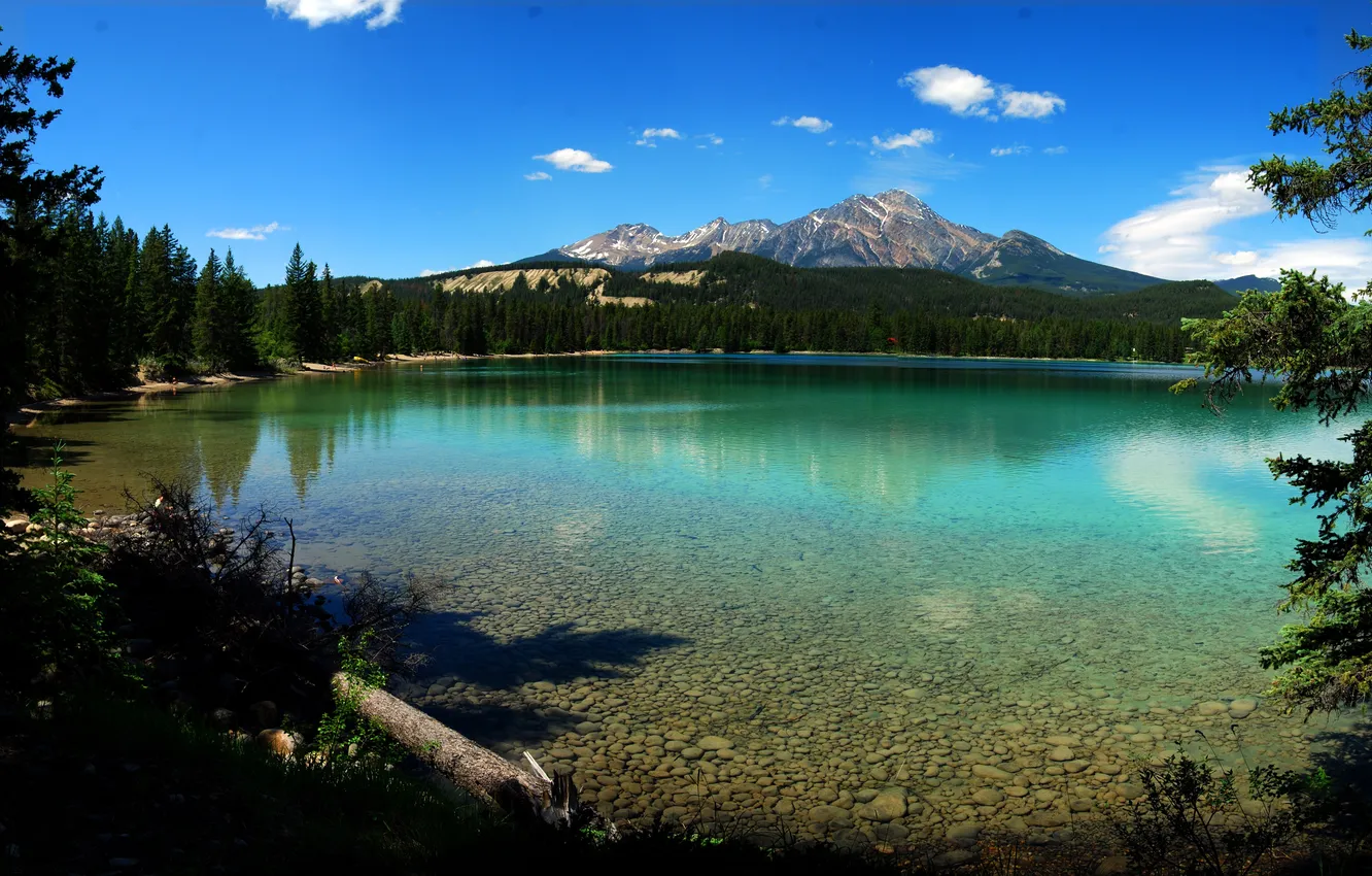 Фото обои лес, деревья, горы, озеро, Канада, Альберта, Jasper National Park