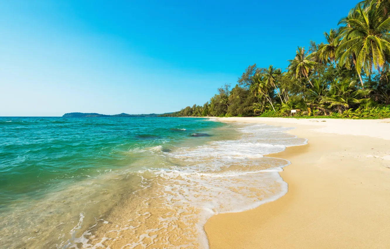 Фото обои песок, море, волны, пляж, лето, небо, пальмы, берег