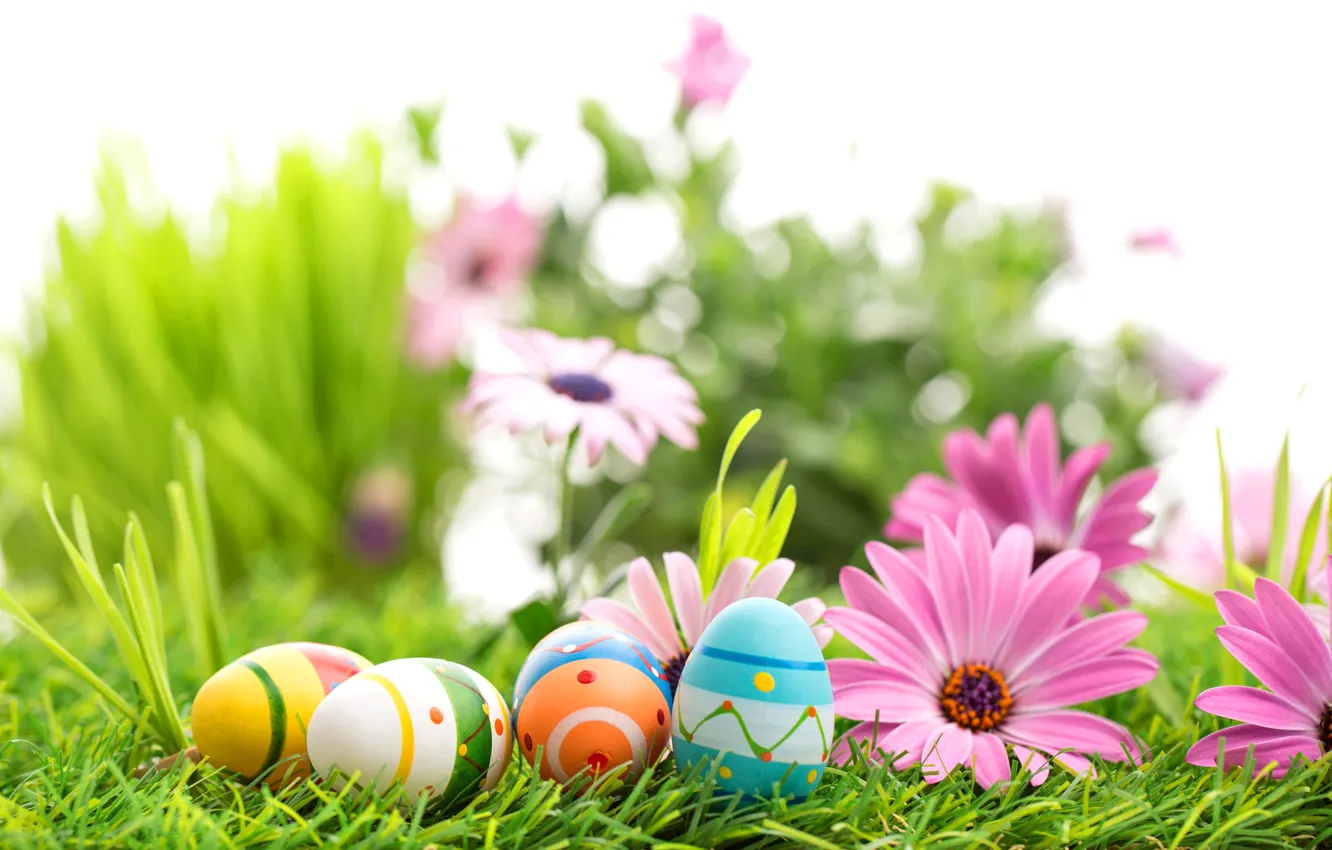 Фото обои цветы, весна, пасха, flowers, Easter, eggs