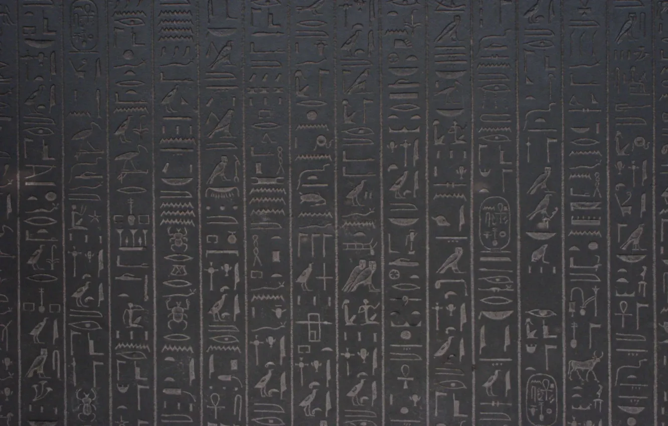Фото обои иероглифы, Египетские, стенка