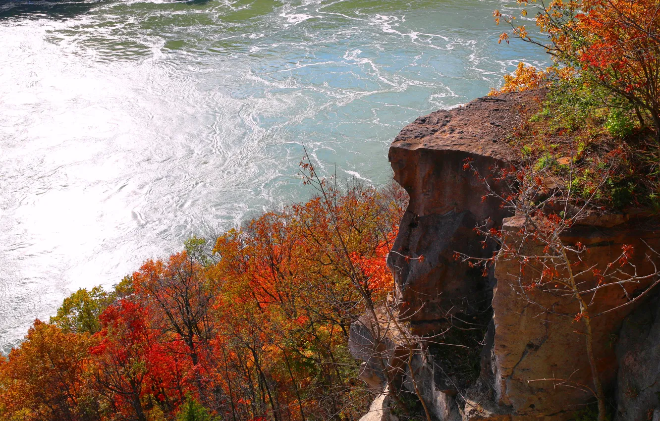 Фото обои осень, деревья, скала, река, Ниагара, Канада