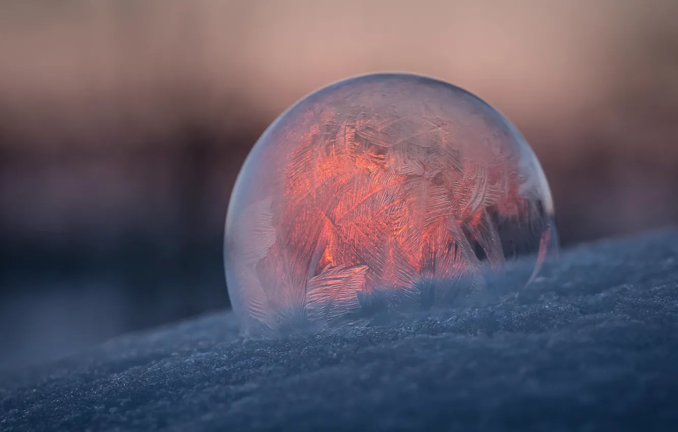 Фото обои узор, шар, мороз, мыльный пузырь